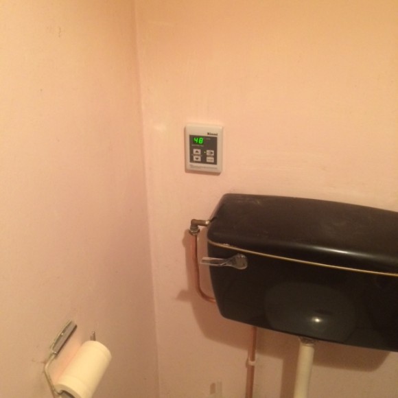 Rinnai Water Heater Hot Water And Central Heating